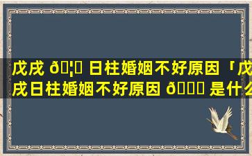 戊戌 🦟 日柱婚姻不好原因「戊戌日柱婚姻不好原因 🕊 是什么」